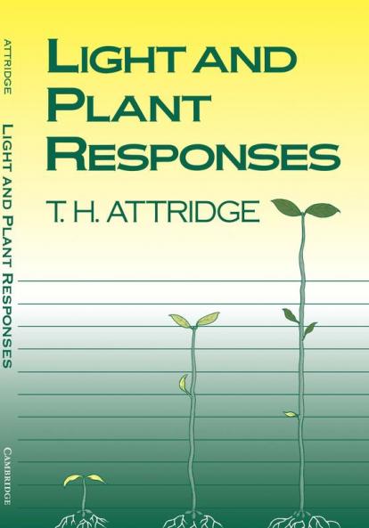 Light and Plant Responses