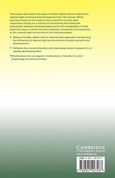 Light and Plant Responses