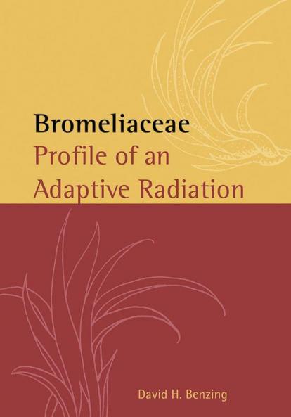 Bromeliaceae