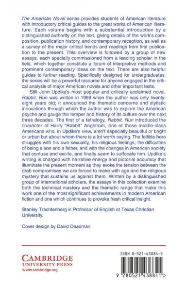 New Essays on Rabbit Run