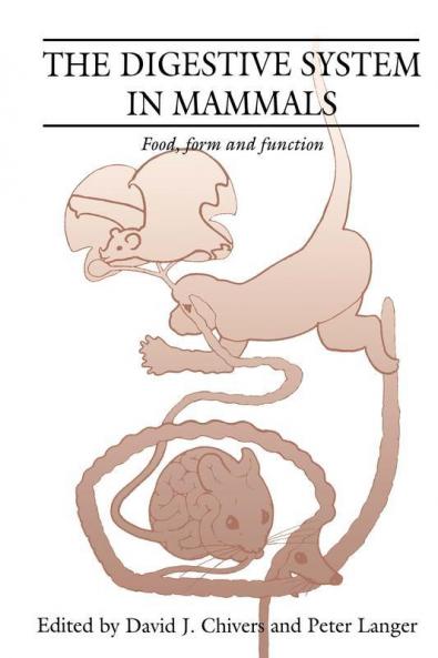 The Digestive System in Mammals