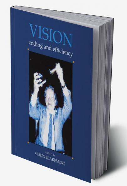 Vision