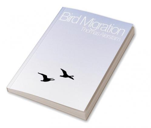 Bird Migration