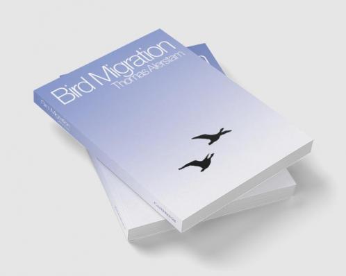Bird Migration