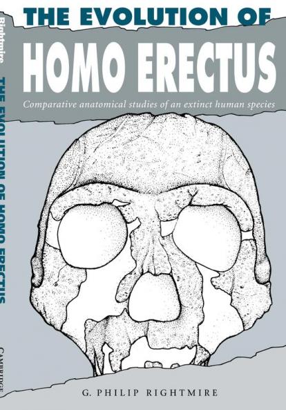 The Evolution of Homo Erectus