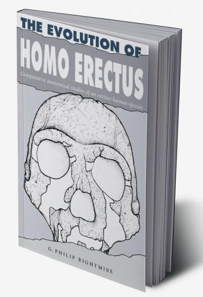 The Evolution of Homo Erectus