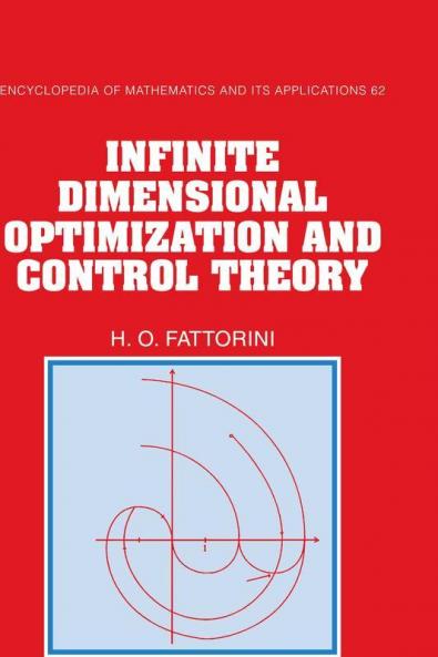 Infinite Dimensional Optimization and Control Theory