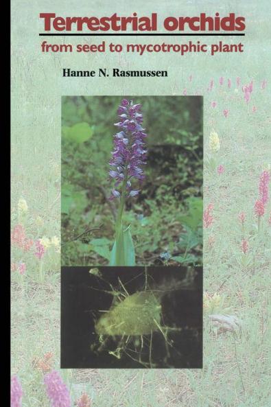 Terrestrial Orchids
