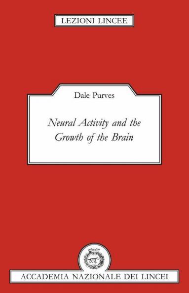 Neural Activity and the Growth of the Brain