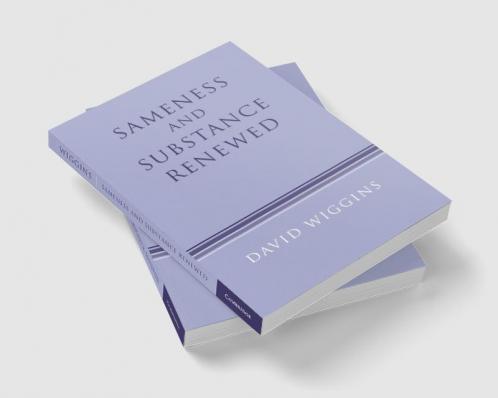 Sameness and Substance Renewed