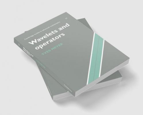 Wavelets and Operators