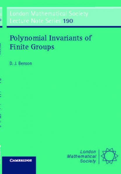 Polynomial Invariant of Finite Groups