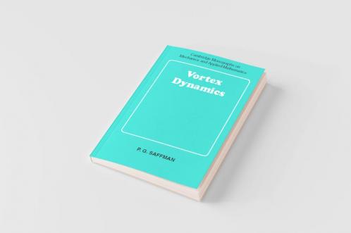 Vortex Dynamics
