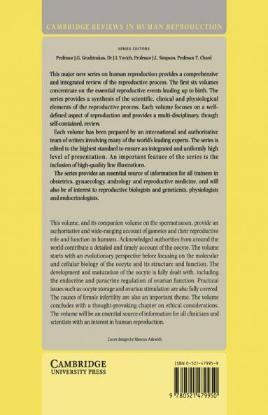 Gametes - The Oocyte
