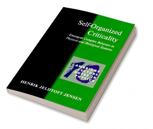 Self-Organized Criticality