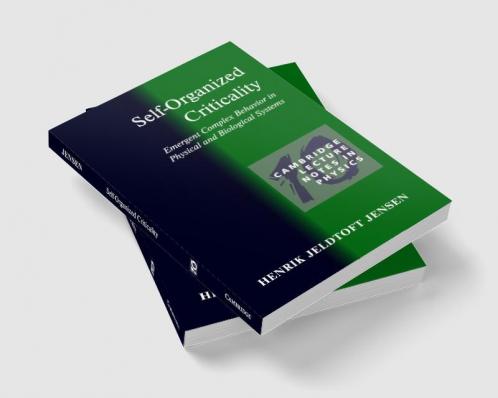 Self-Organized Criticality