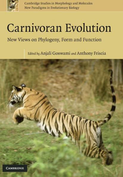Carnivoran Evolution
