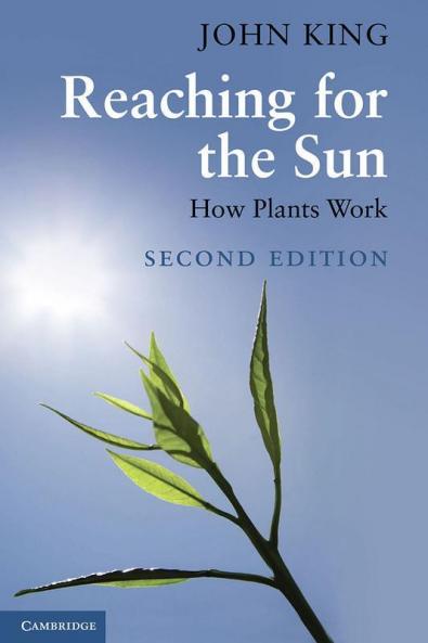 Reaching for the Sun