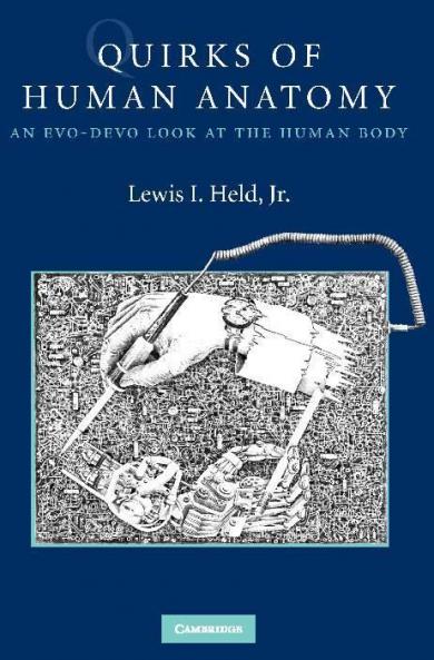 Quirks of Human Anatomy