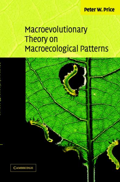 Macroevolutionary Theory on Macroecological Patterns