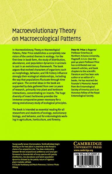 Macroevolutionary Theory on Macroecological Patterns