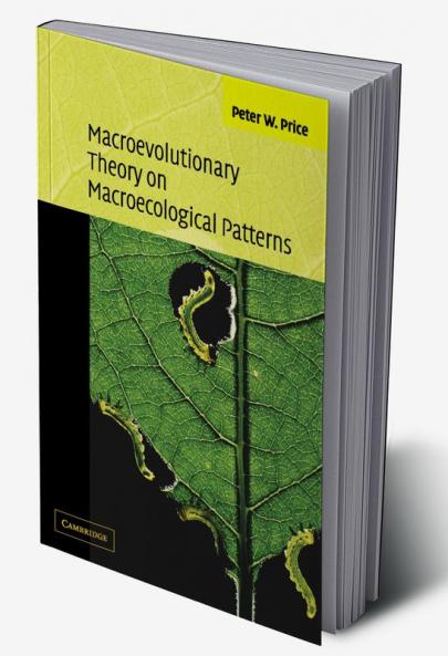 Macroevolutionary Theory on Macroecological Patterns
