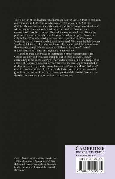 A Distinctive Industrialization