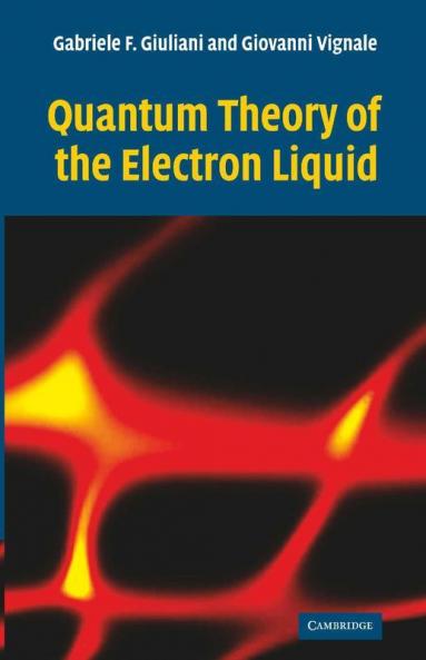 Quantum Theory of the Electron Liquid