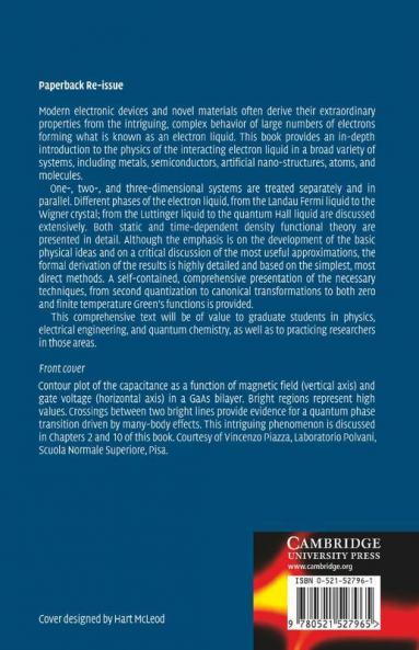 Quantum Theory of the Electron Liquid