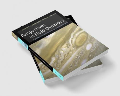 Perspectives in Fluid Dynamics
