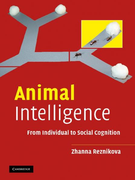 Animal Intelligence