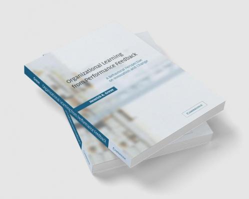 Organizational Learning from Performance Feedback