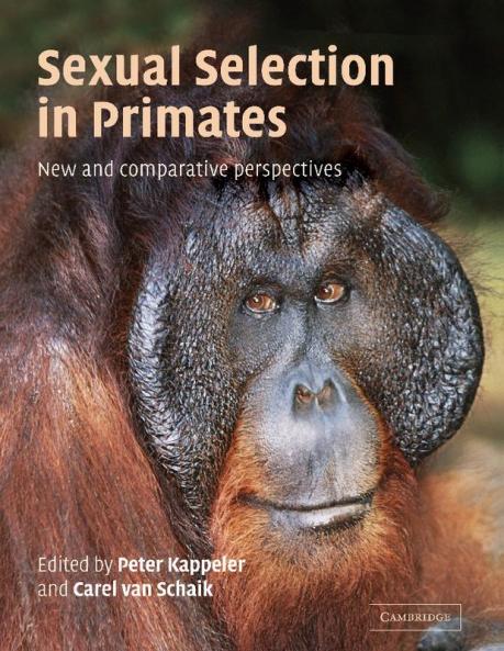 Sexual Selection in Primates