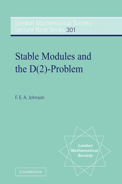 Stable Modules and the D(2)-Problem