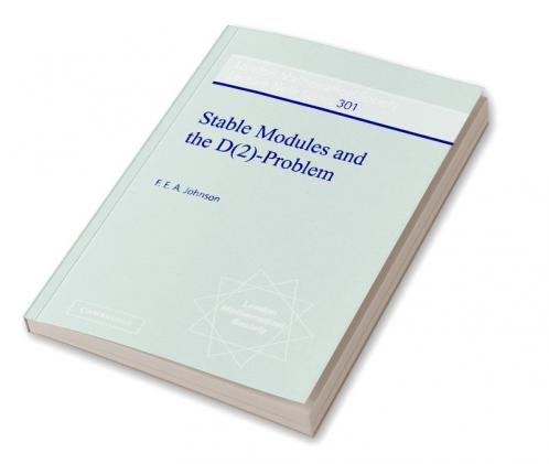 Stable Modules and the D(2)-Problem