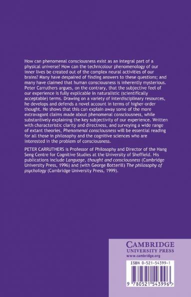 Phenomenal Consciousness