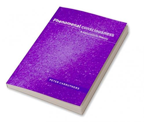 Phenomenal Consciousness