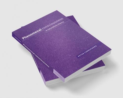 Phenomenal Consciousness