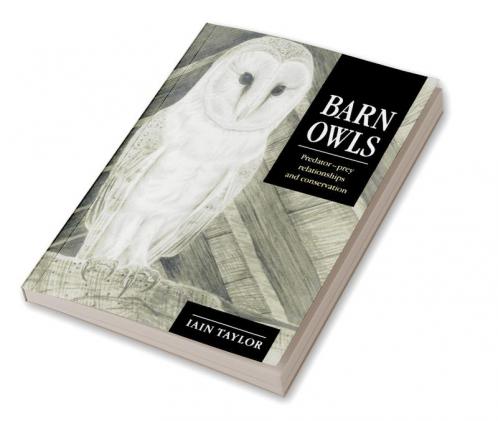 Barn Owls