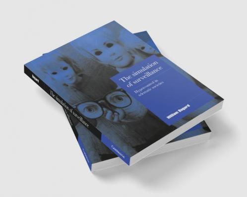 The Simulation of Surveillance