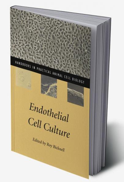 Endothelial Cell Culture