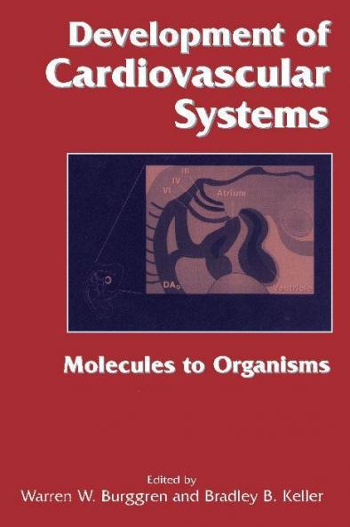Development of Cardiovascular Systems
