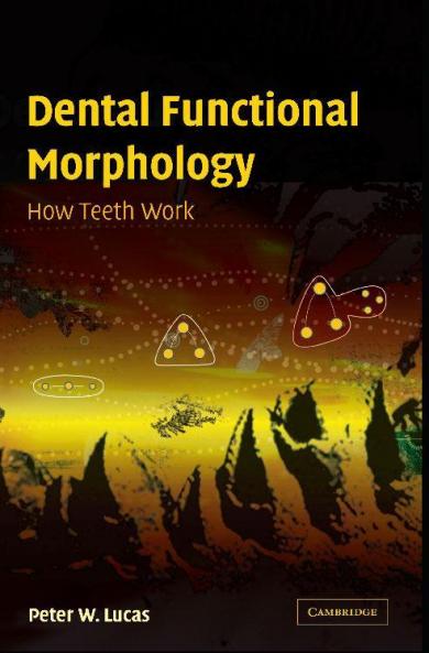 Dental Functional Morphology