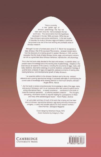 Dinosaur Eggs and Babies