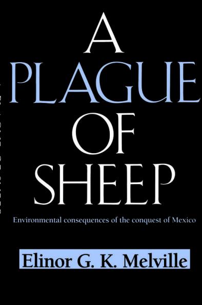 A Plague of Sheep