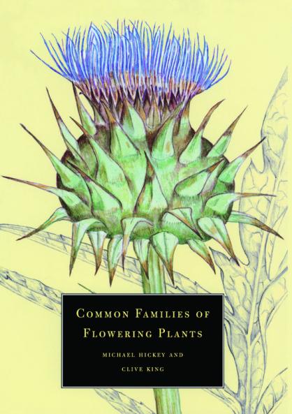 Common Families of Flowering Plants