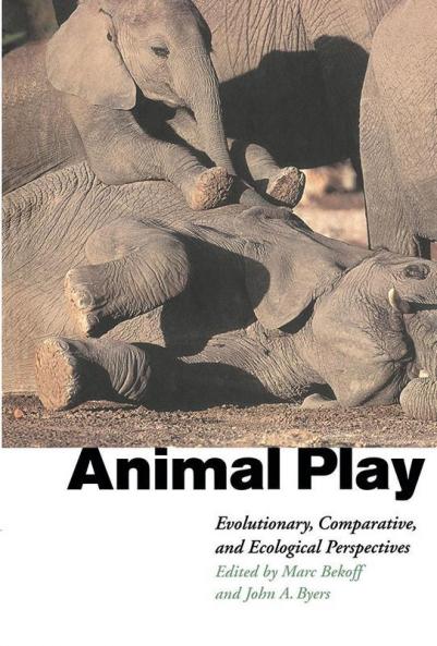 Animal Play