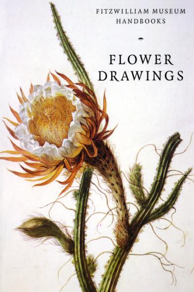 Flower Drawings