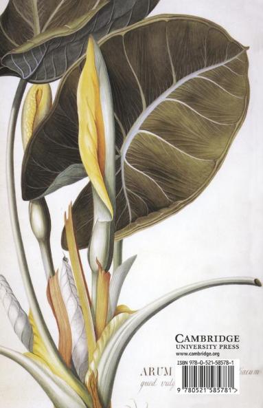 Flower Drawings