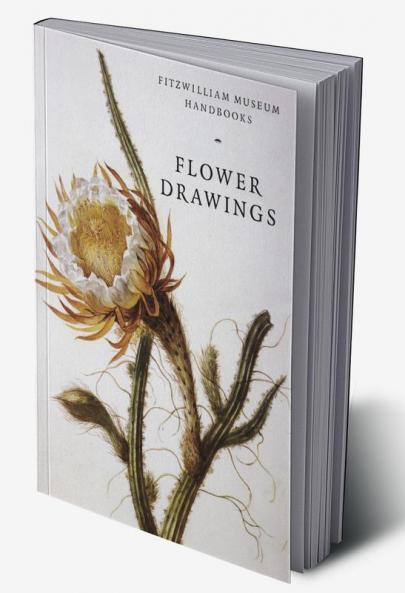 Flower Drawings